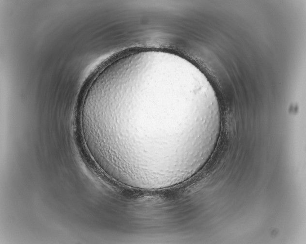 X0000093620536200711051241