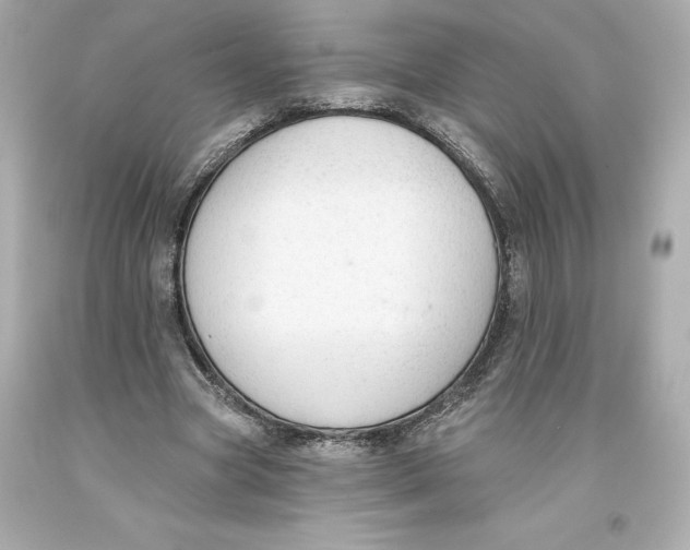 X0000093620537200711051241