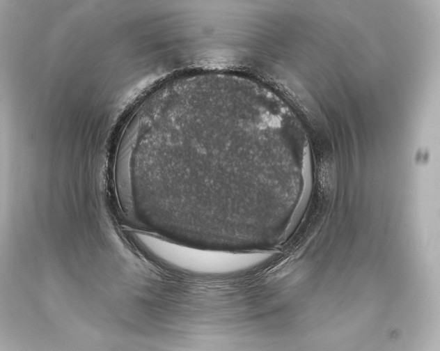 X0000093620540200711051241