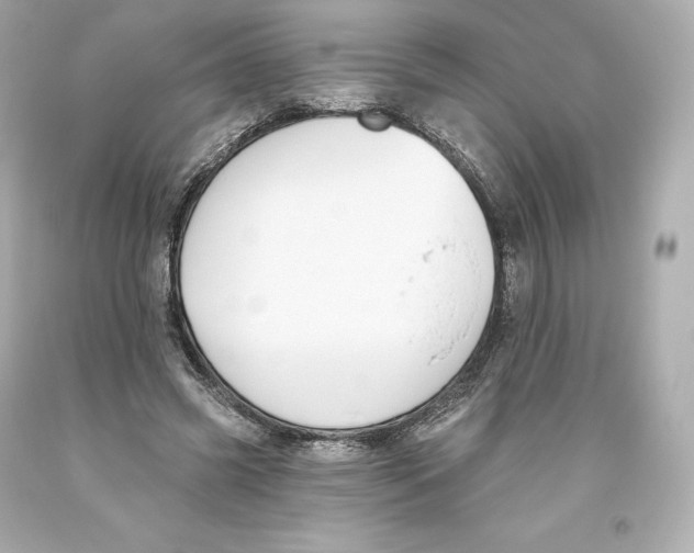 X0000093620541200711051241