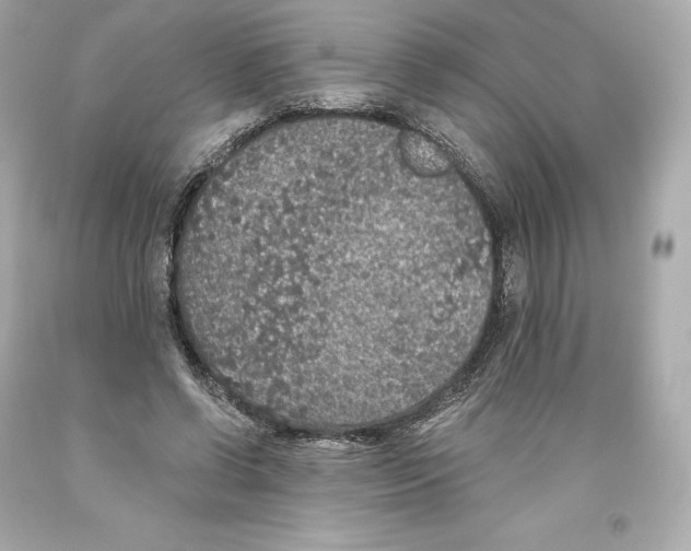 X0000093620542200711051241