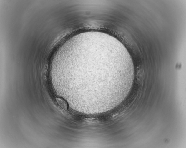 X0000093620544200711051241