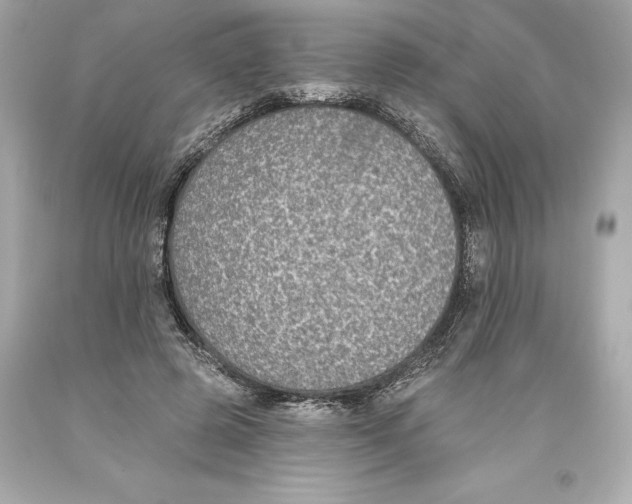 X0000093620545200711051241