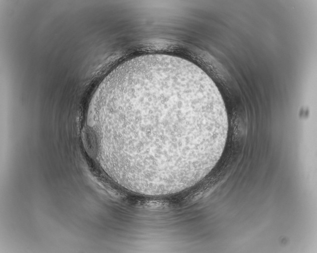 X0000093620546200711051241