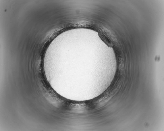 X0000093620548200711051241