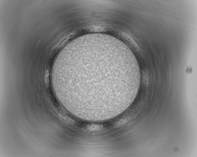 X0000093620549200711051241