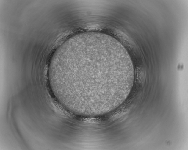 X0000093620550200711051241