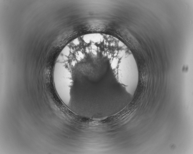 X0000093620551200711051241