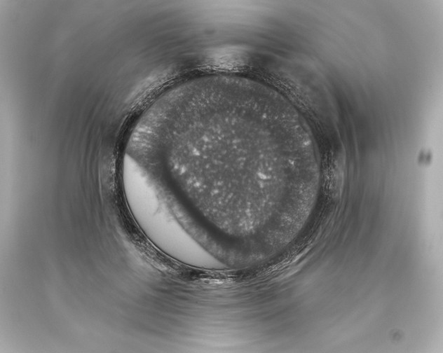 X0000093620552200711051241