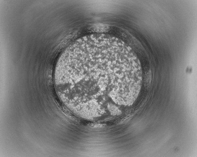 X0000093620553200711051241