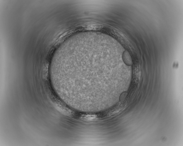 X0000093620554200711051241