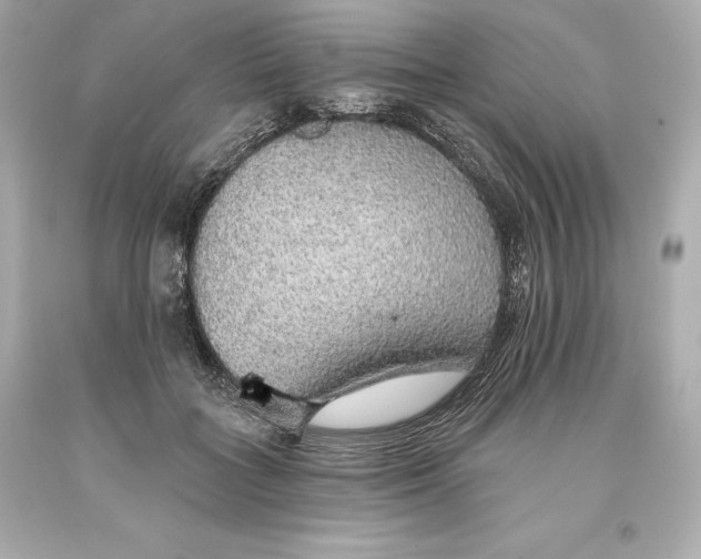 X0000093620555200711051241