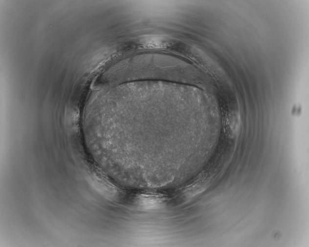 X0000093620556200711051241