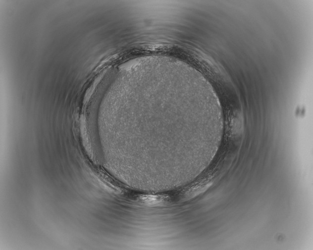 X0000093620558200711051241