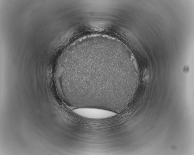 X0000093620559200711051241