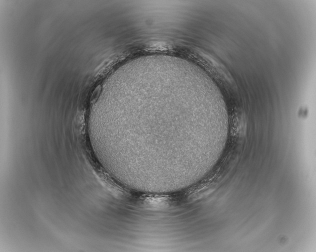 X0000093620560200711051241