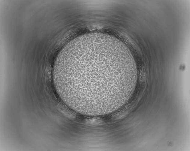 X0000093620561200711051241