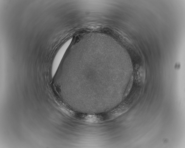 X0000093620562200711051241