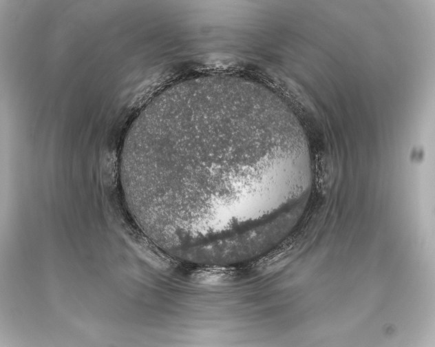 X0000093620563200711051241