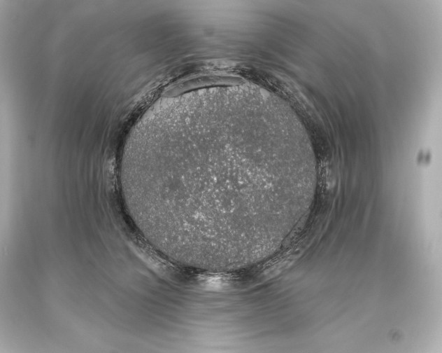 X0000093620564200711051241