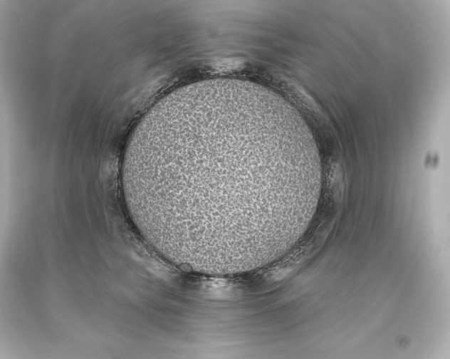 X0000093620565200711051241