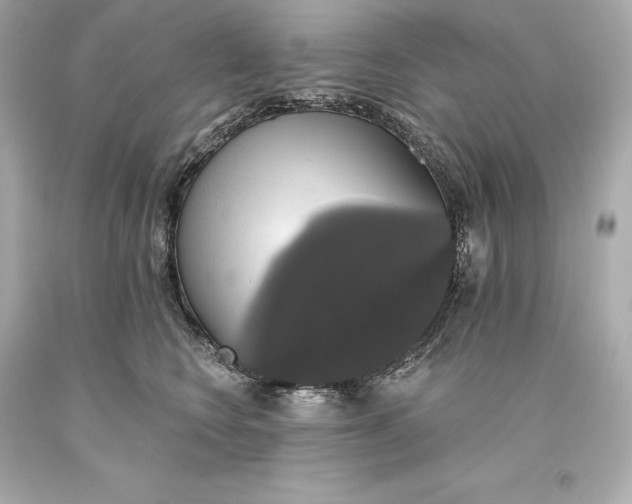 X0000093620566200711051241