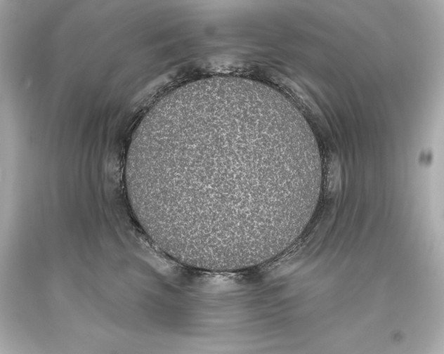 X0000093620569200711051241