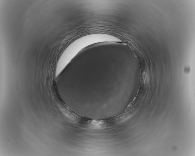 X0000093620570200711051241