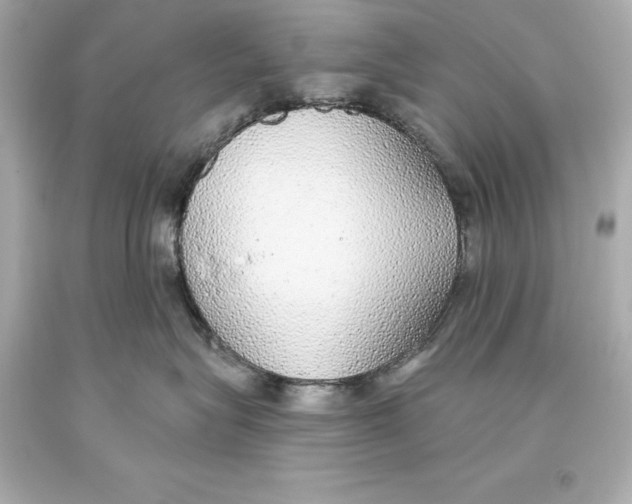 X0000093620575200711051241