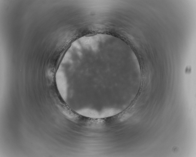 X0000093620576200711051241