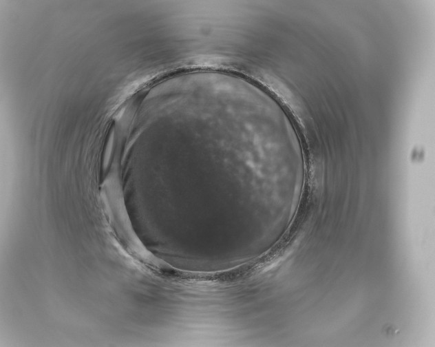 X0000093620577200711051241