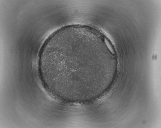 X0000093620580200711051241