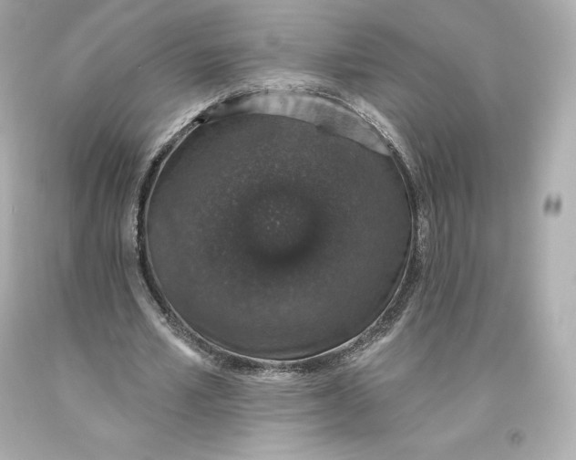 X0000093620581200711051241