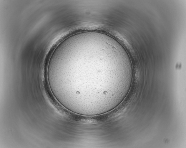 X0000093620582200711051241