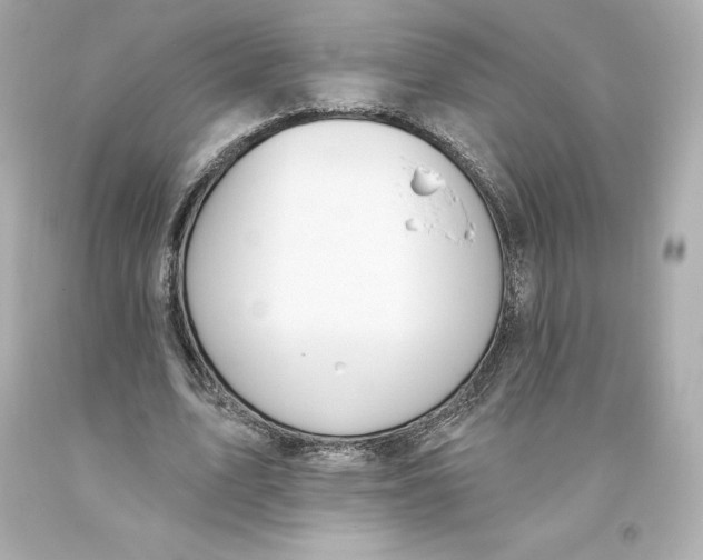 X0000093620583200711051241