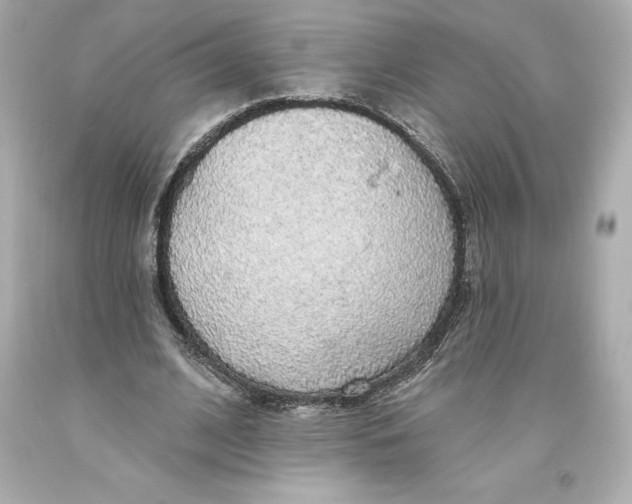 X0000093620584200711051241