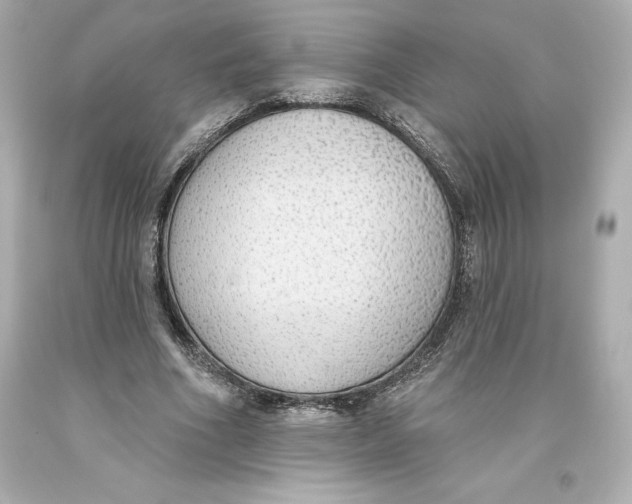 X0000093620586200711051240