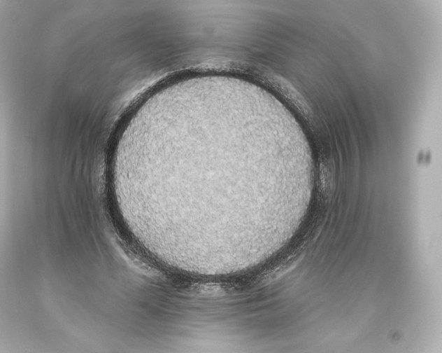 X0000093620588200711051240