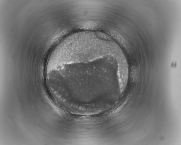 X0000093620589200711051240