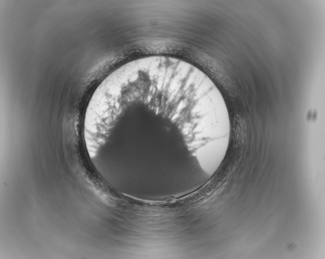 X0000093620590200711051240