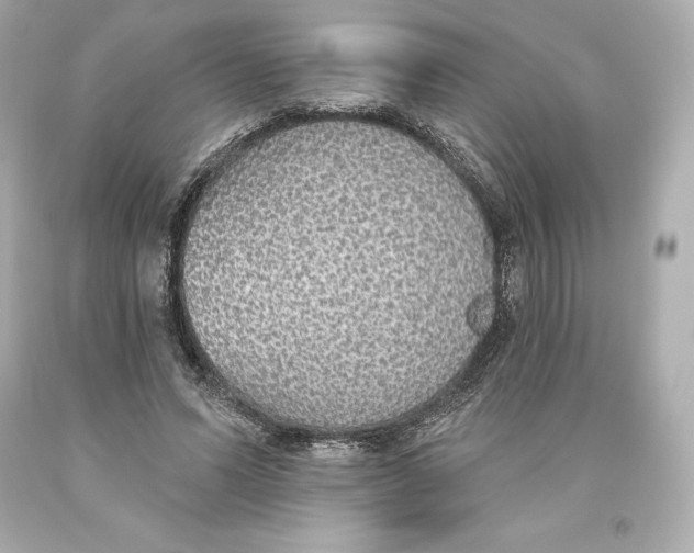 X0000093620591200711051240