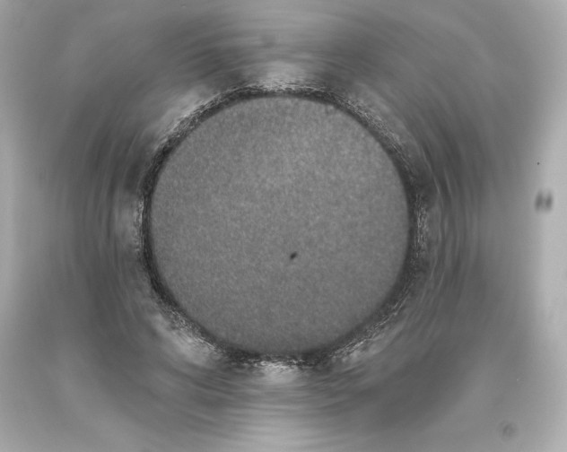 X0000093620592200711051240