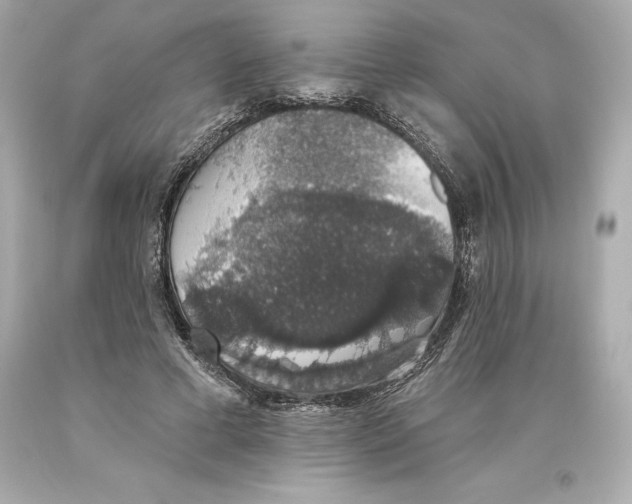 X0000093620593200711051240