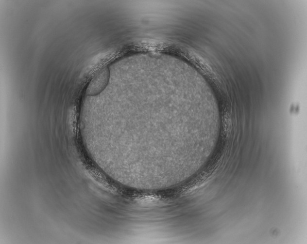 X0000093620594200711051240