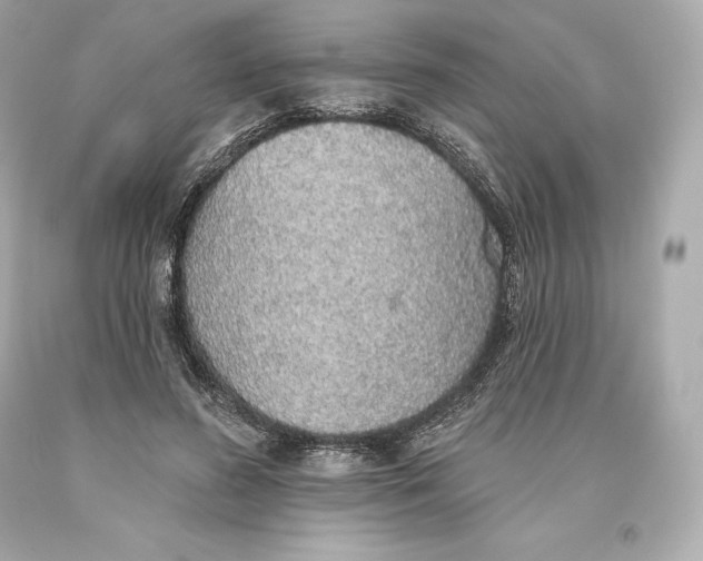 X0000093620596200711051240