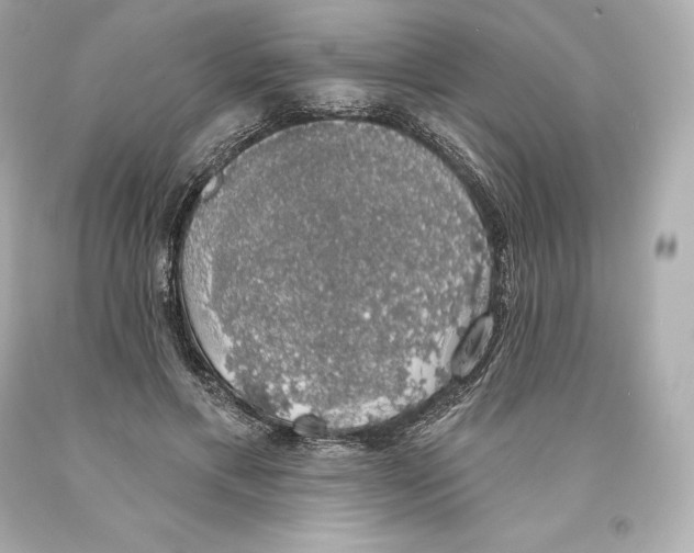 X0000093620597200711051240