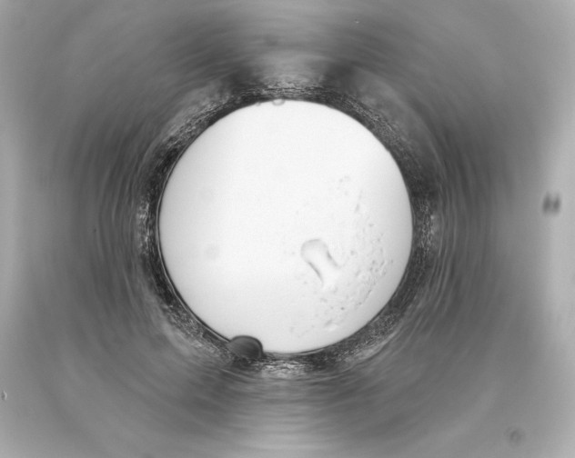 X0000093620599200711051240