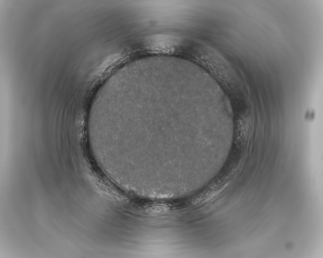 X0000093620600200711051240