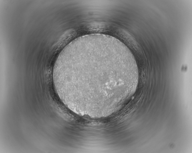 X0000093620601200711051240