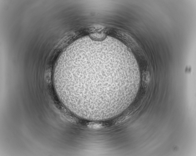 X0000093620602200711051240